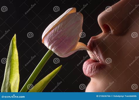 Lesbian Foreplay Lip With Tulip Flower Stock Photo Image Of Oral Cosmetology