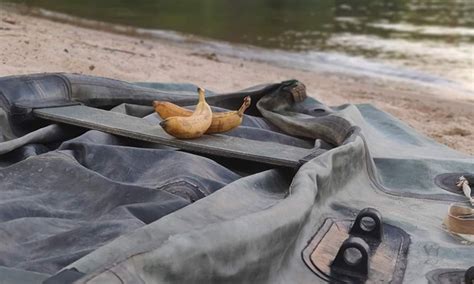 Apa Masalahnya Bawa Pisang Ketika Mancing Di Laut Umpan