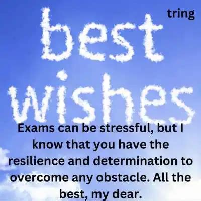 100 Best Wishes For Exam To Motivate Your Dear Ones