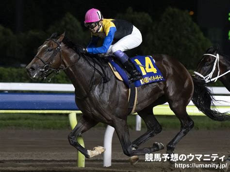 東京大賞典2022特集 レース結果・払戻｜地方競馬予想のウマニティ