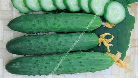 Агрофирма «Манул»