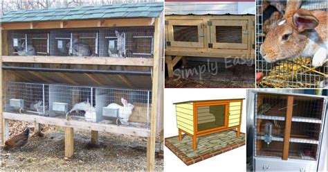 10 Free DIY Rabbit Hutch Plans That Make Raising Bunnies Easy - DIY ...