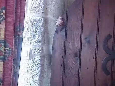 Cassandra Wilde Porn Videos 2025 Porn Star Sex Scenes XHamster