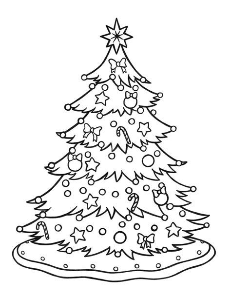Albero In Inglese 2