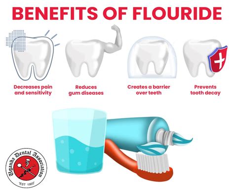 Unveiling the power of fluoride - Uganda Dental Association