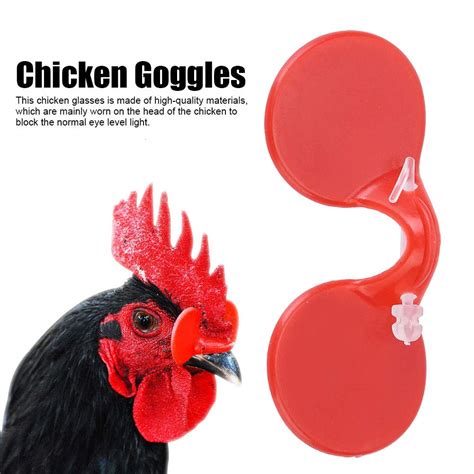 Chicken Run Glasses