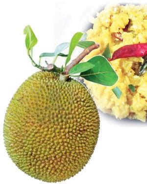 පළක හදය කවත බදප මස වළකනනට ගණය කස Gossip Lanka Hot News Sri Lanka Latest