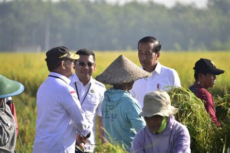 Panen Raya Ngawi Presiden Ajak Petani Percepatan Tanam Keuanganonline Id