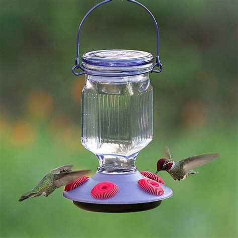 Shop For Hummingbird Decorative Feeders Beautiful Glass Feeders