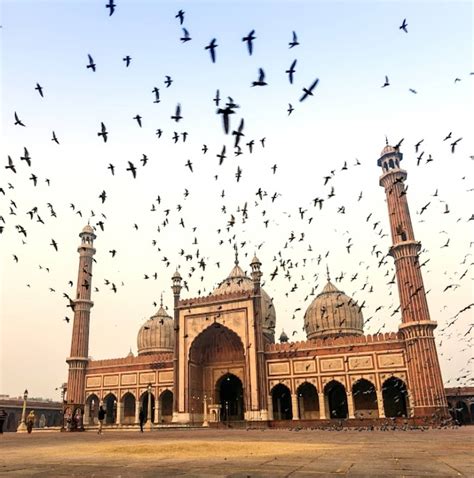 10 Best India Tours & Trips from Delhi - TourRadar