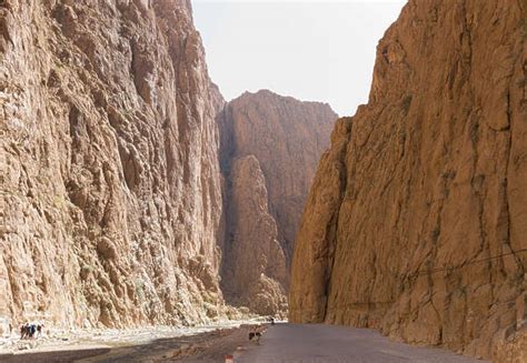 Rockformationsbig0081 Free Background Texture Morocco Cliffs Cliff