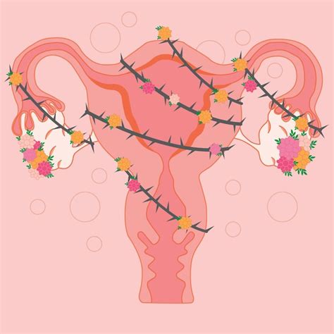 Premium Vector A Pink Illustration Of A Uterus With Flowers And The