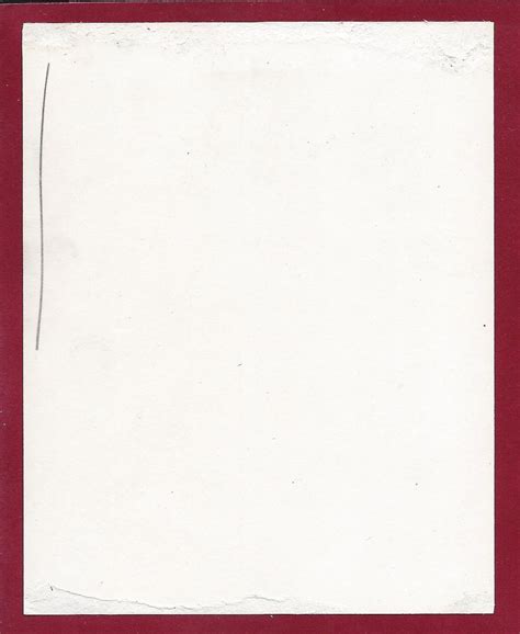 S Vintage Risque Nude Photo Irving Klaw Sultry Busty Boobs Pinup Betty Page