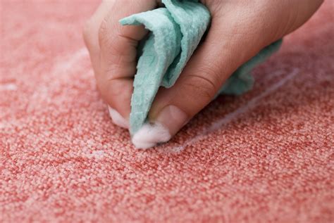 The 11 Best Eco Friendly Carpet Cleaners Of 2021