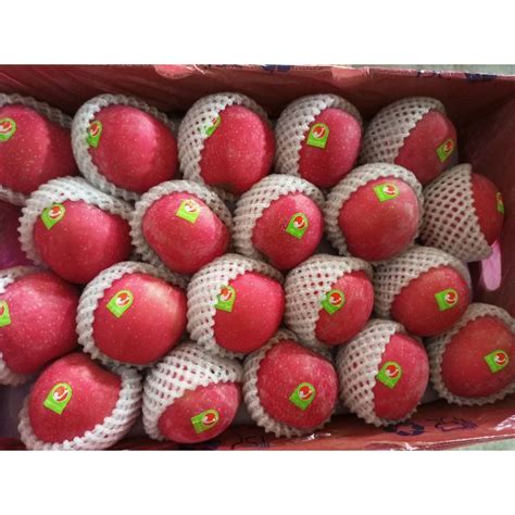 Jual Buah Apel Fuji Premium Rosy Fresh Import Dus Shopee Indonesia