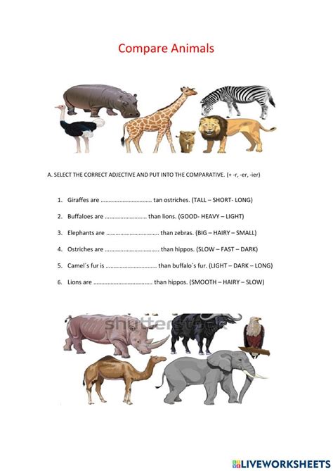 comparing animals  activity  secondary comparative