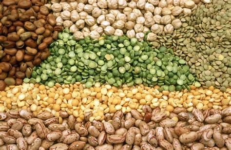 Indian Pulses At Best Price In Hosur Ayaan Export