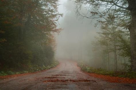 Niebla Qu Es C Mo Se Forma Y Tipos Resumen