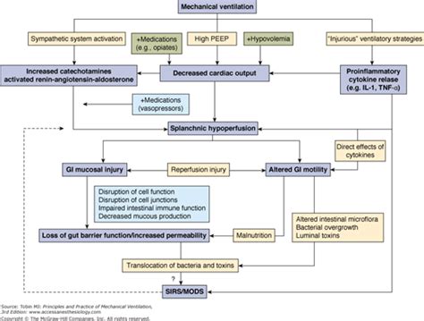 Complications Associated with Mechanical Ventilation | Anesthesia Key