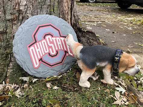 Fuck Ohio R MichiganWolverines