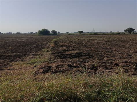 Acre Agricultural Farm Land For Sale In Kolar Road Bhopal