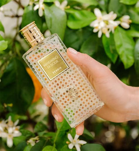 6 Fragrances Similar To Mandarino Di Amalfi Tom Ford