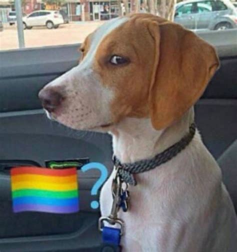 Pin By Segundo Gomez On Stickers Gay Sticker Gay Humor Funny Spanish Jokes