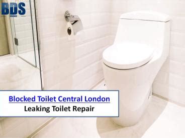 PPT Blocked Toilet Central London Leaking Toilet Repair PowerPoint