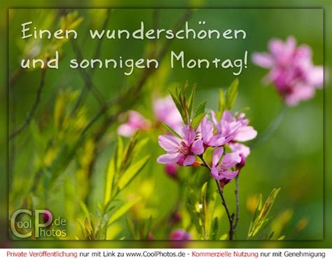 CoolPhotos.de - Montag - Einen wunderschönen und sonnigen Montag!