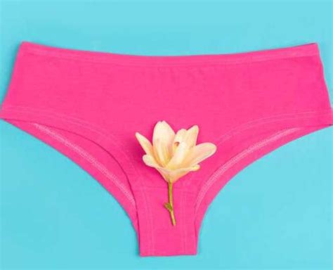 3 Vagina Myths You Have To Quit Believing Today Herzindagi