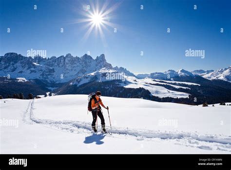 Touring Skier Climbing To The Top Of Cima Bocche Mountain Above Passo