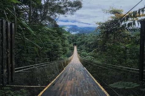 Rekomendasi Desa Wisata Di Lombok Yang Bikin Kamu Tenang Dan Nyaman