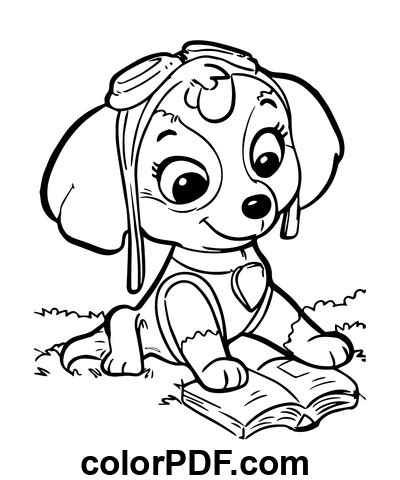 Skye Learning Paw Patrol Bojanke I Knjige U Pdf U