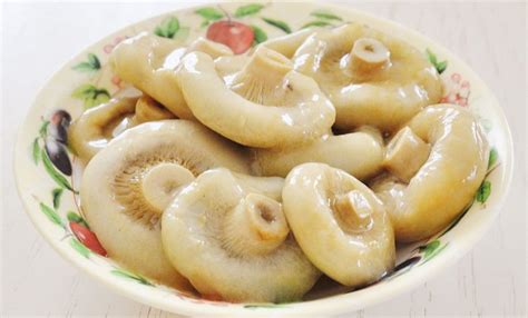 Польза солёных груздей, химический состав, калорийность, противопоказания