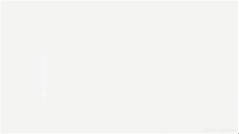 Elyse Willems Deepfake Porn Videos LetMeJerk