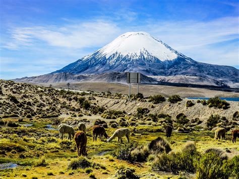 Bezoek Arica Y Parinacota Het Beste Van Reizen Naar Arica Y Parinacota