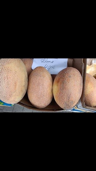 Цена дыня Одесса // Цена ещё высокая #обзор #цена #дыня #рынок #базар ...