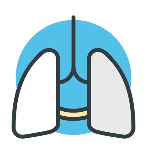 Imagen Vector Icono Pulmones Humanos Vector De Stock 656344062 De