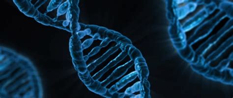 Forensic Genetic Genealogy