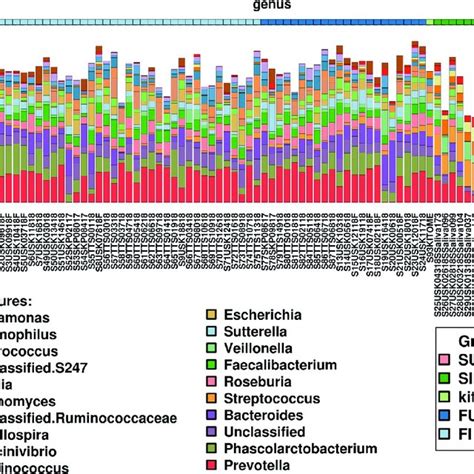 Bacterial Populations Differences Between Faecal And Saliva Samples