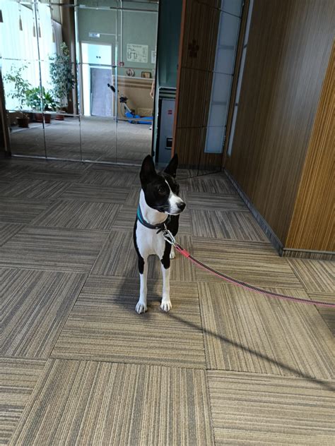 Гостиница "Волго-Дон". Волгоград. Официальный сайт.