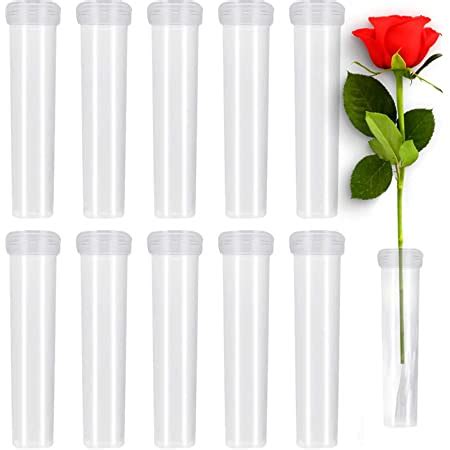 50 Pieces Clear Plastic Test Tubes 12 By 75 Mm With Push Caps 5 Ml