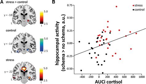 Stress leads to aberrant hippocampal involvement when processing schema ...
