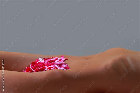 Rose Petals On A Naked Body Sexy Woman In A Festive Romantic Mood Sensual Girl On Bed Nude