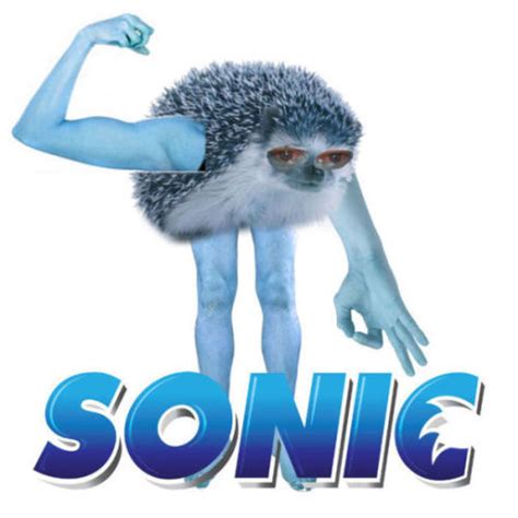 LOL and Gay Reinterpretación de Sonic