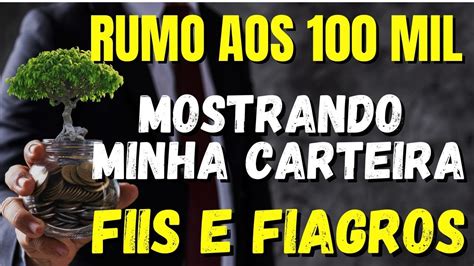 QUANTO RENDEU MINHA CARTEIRA DE FIIS E FIAGROS EM NOVEMBRO YouTube