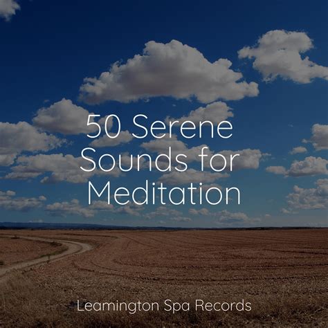 Serene Sounds For Meditation Relaxation Personal Guru