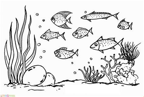 sketsa gambar pemandangan alam bawah laut