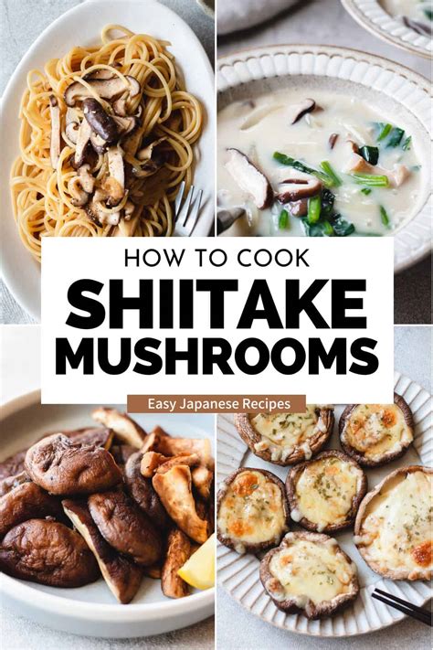 9 Easy Japanese Shiitake Mushroom Recipes - Chef JA Cooks