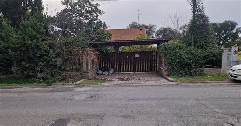 Latina Donna Assalita E Uccisa Dai Cani Nel Giardino Di Casa Di Un Amico